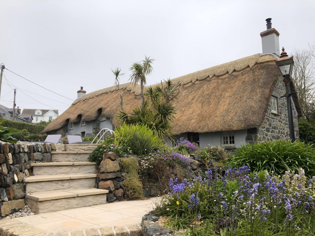 A long, rounded thatched cottage roof with a scalloped ridge, palms and a cottage garden in front